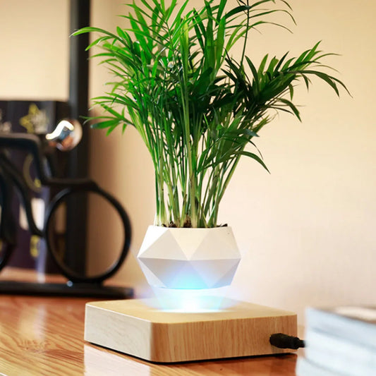 AeroBonsai - Magnetic Levitating Planter